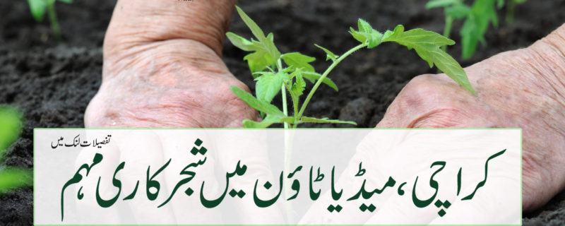 Karachi Media Town Planting