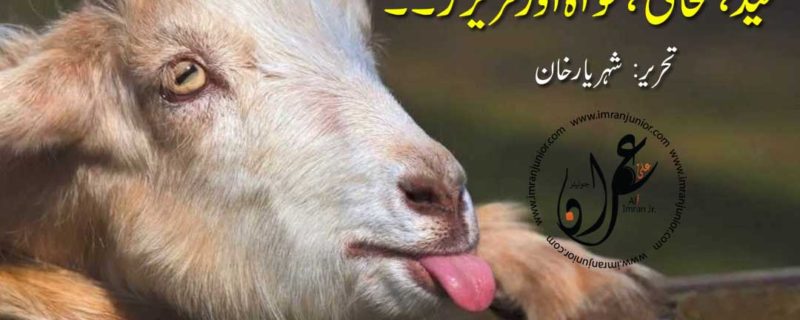 Eid sahafi tankhwa or freezer by sheheryar khan