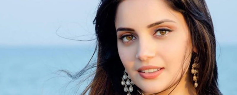 Armeena Khan Kashmir issue