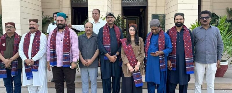 national press club ke wafad ki sindh assembly baramad