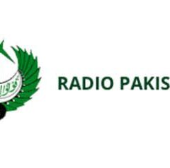 براڈکاسٹنگ کارپوریشن ترمیمی بل حکومتی مخالفت کے باوجود منظور