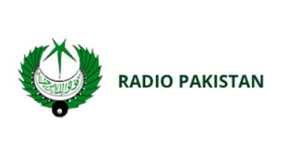 براڈکاسٹنگ کارپوریشن ترمیمی بل حکومتی مخالفت کے باوجود منظور