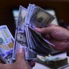 فری لانسرز نے ستمبر میں 19 کروڑ ڈالرسے زائد کمالئے۔۔۔