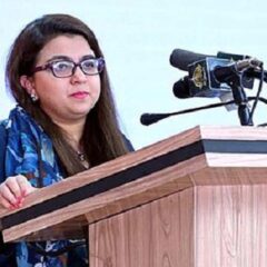 سوشل میڈیا پر مکمل پابندی حل نہیں، شزہ فاطمہ خواجہ۔۔۔۔